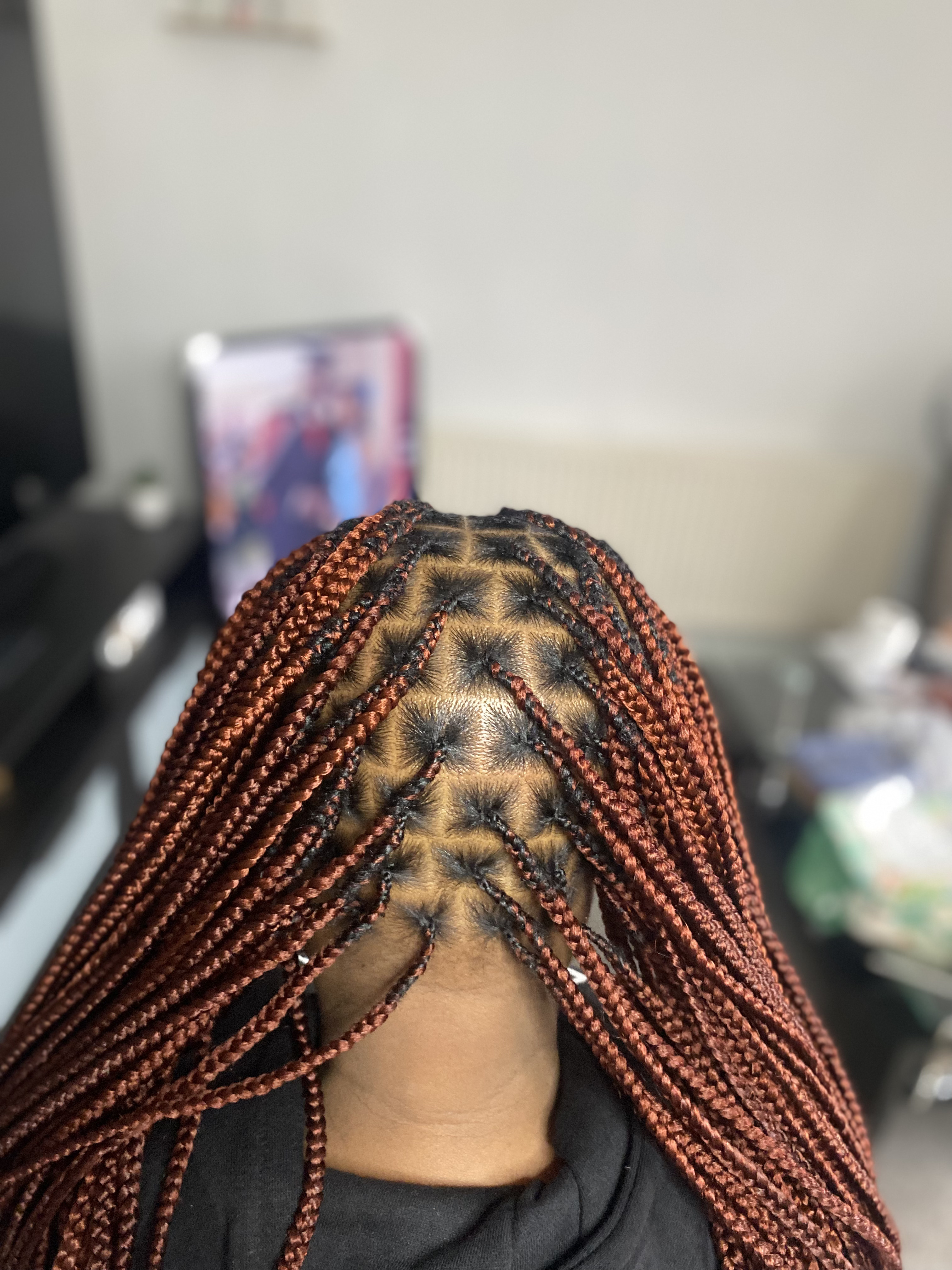 Knotless Braids 5